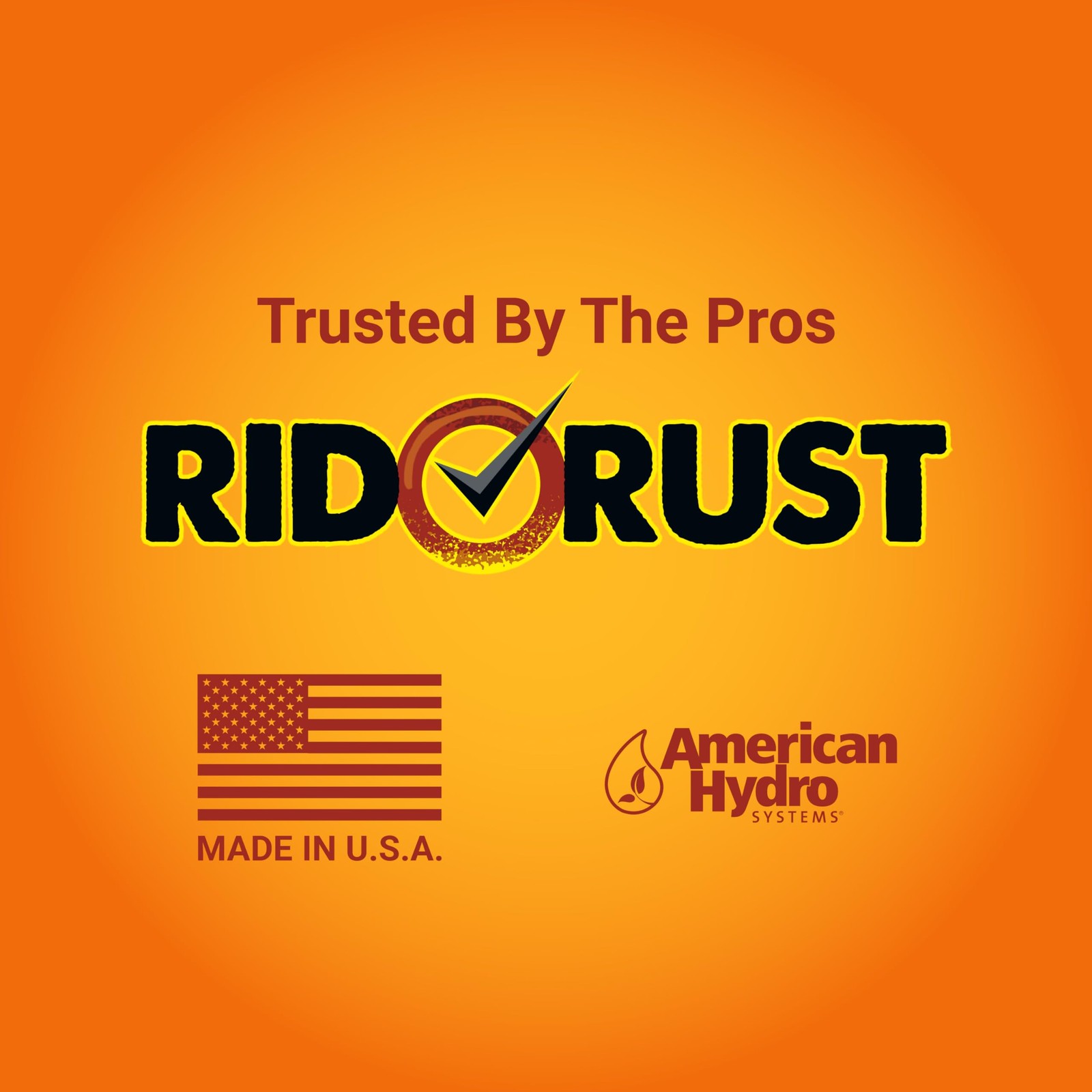 American Hydro Systems 2662 Rid O’ Rust Liquid 128 Fl Oz (Pack of 1), Bottle