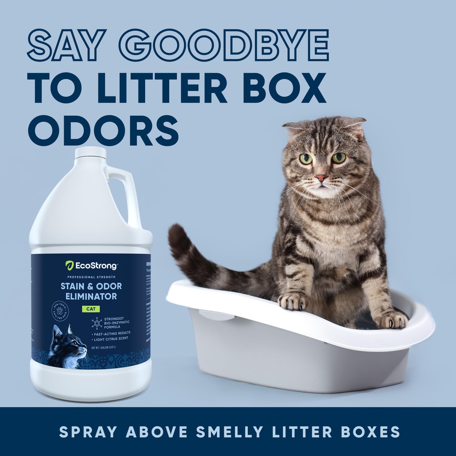 Eco Strong Cat Stain & Odor Remover | Enzyme Urine Neutralizer 160oz for Carpet