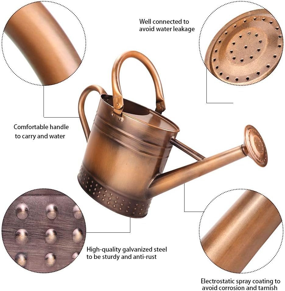 1 Gallon Metal Watering Can with Removable Spout, Nice Galvanized Steel Water