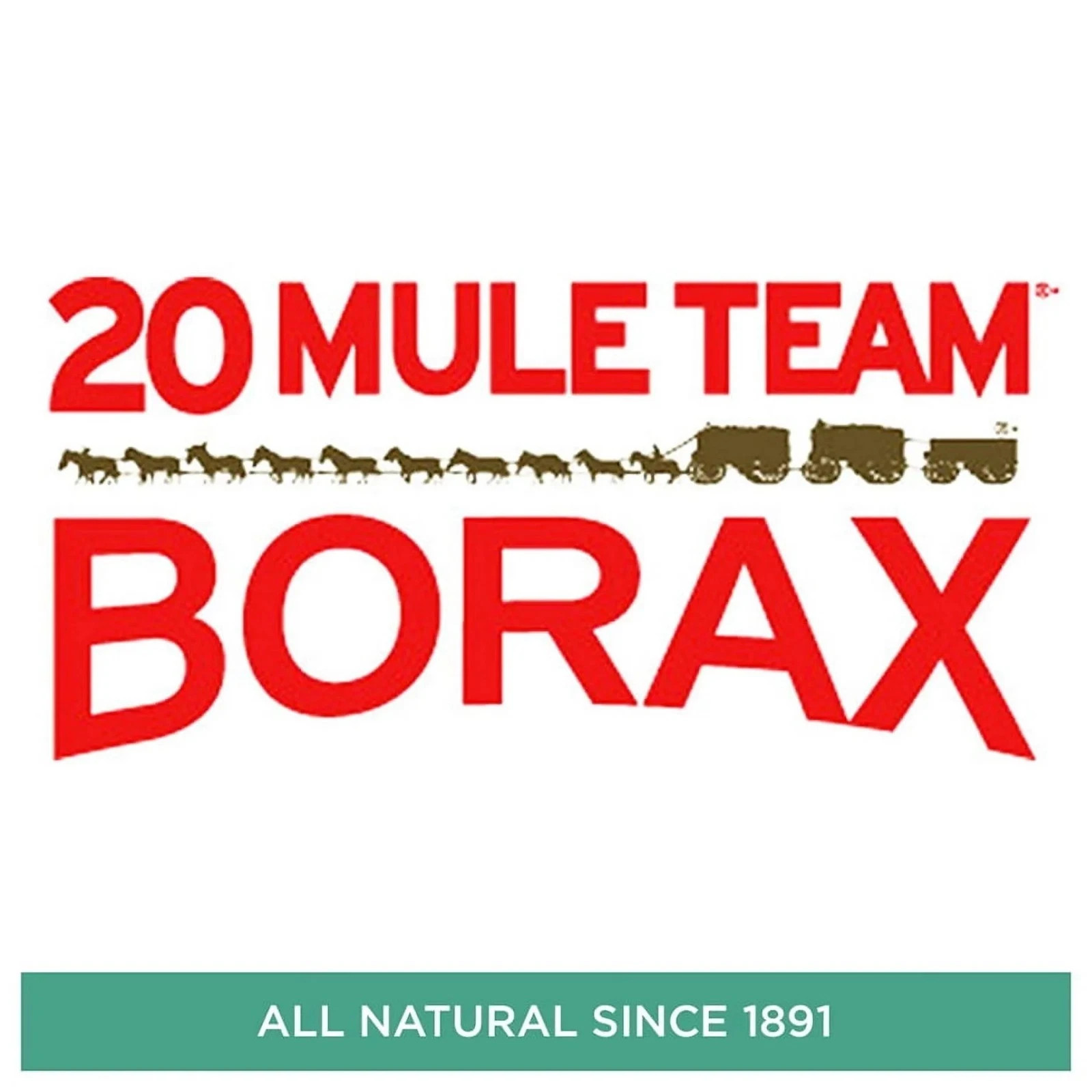 20 Mule Team Detergent Booster – 65oz
