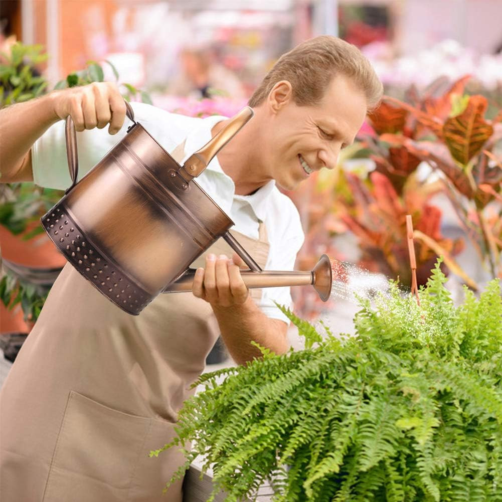 1 Gallon Metal Watering Can with Removable Spout, Nice Galvanized Steel Water