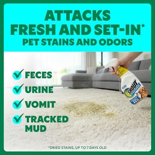Shout Pet Stain Remover Spray, Color-Safe Multisurface & Carpet Cleaner Solut…