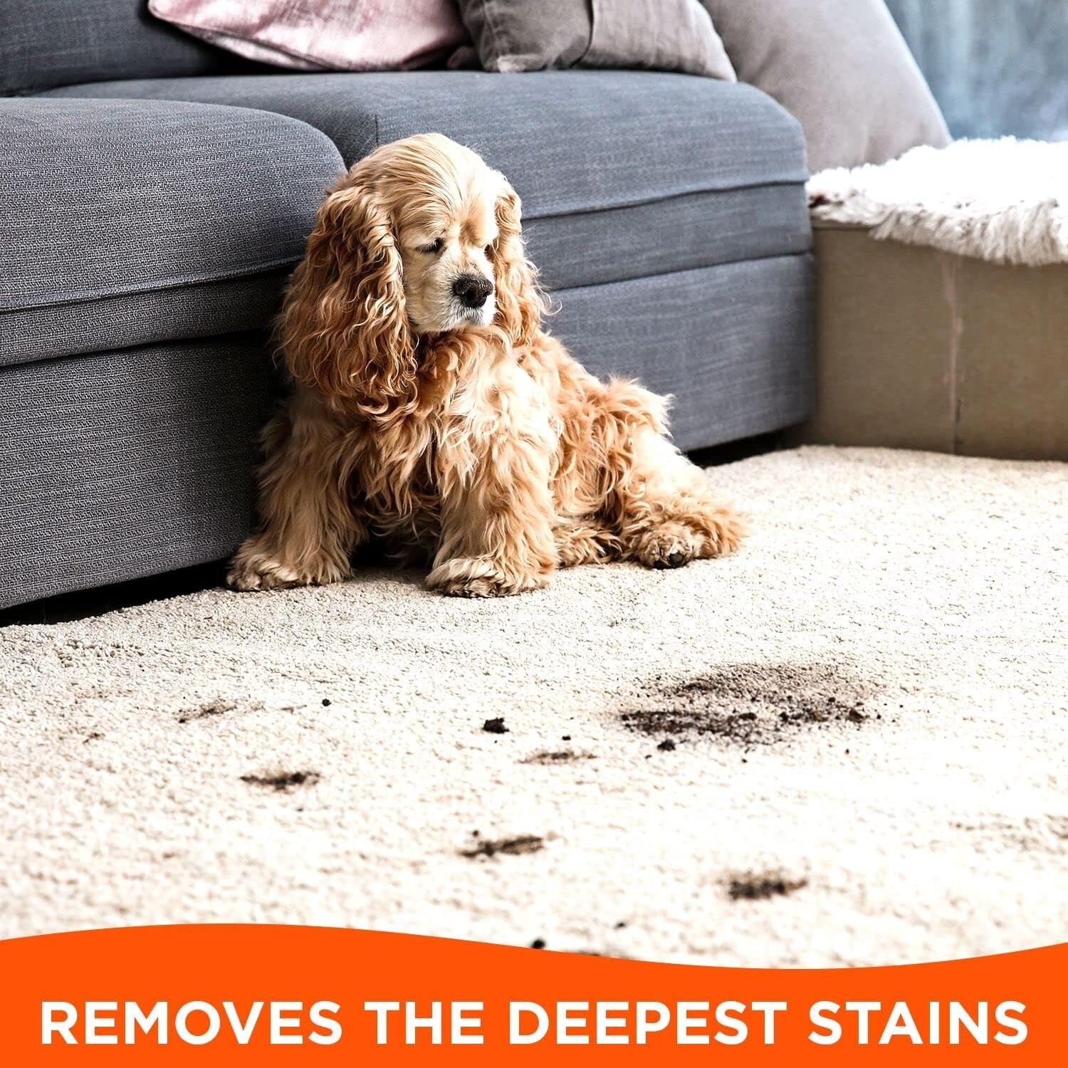 Super Powerful Multi-Surface Stain Remover – Tough on Stains – Pack of 3