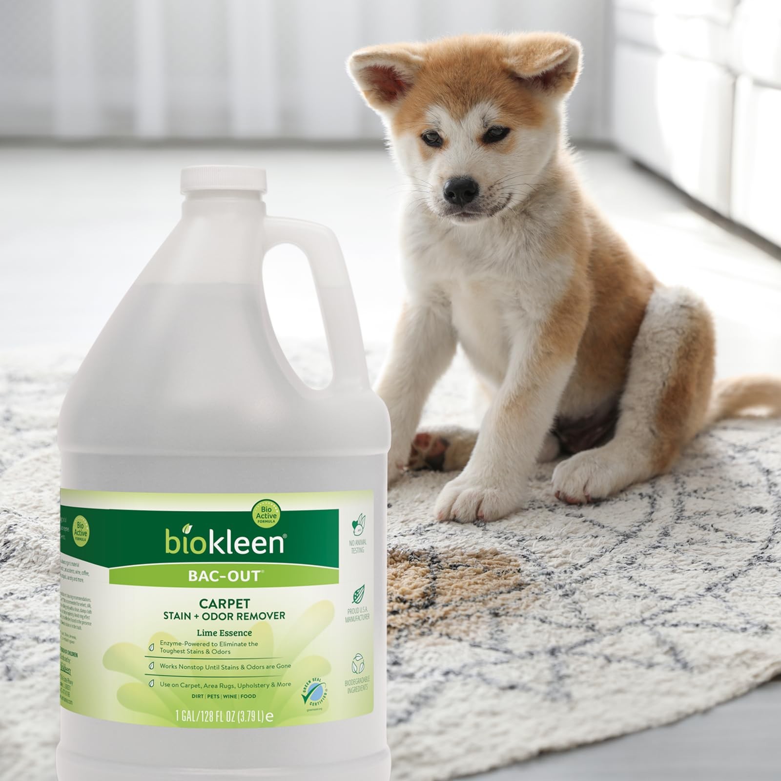 Biokleen Bac-Out Enzyme Cleaner and 128 Fl Oz (Pack of 1), Stain+odor Remover