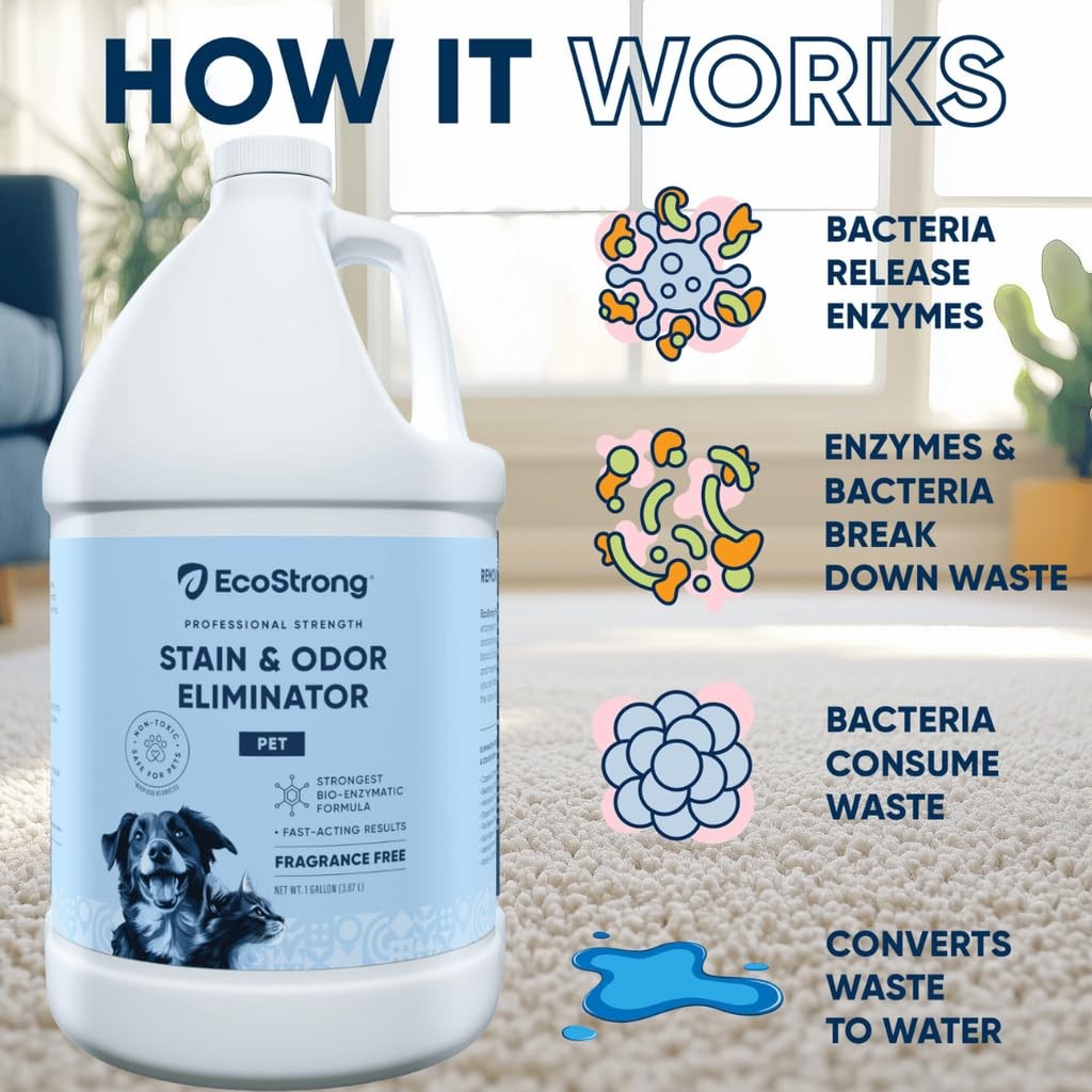 Eco Strong Pet Stain & Odor Remover – Cat Urine Enzyme Cleaner, Destroys Urine