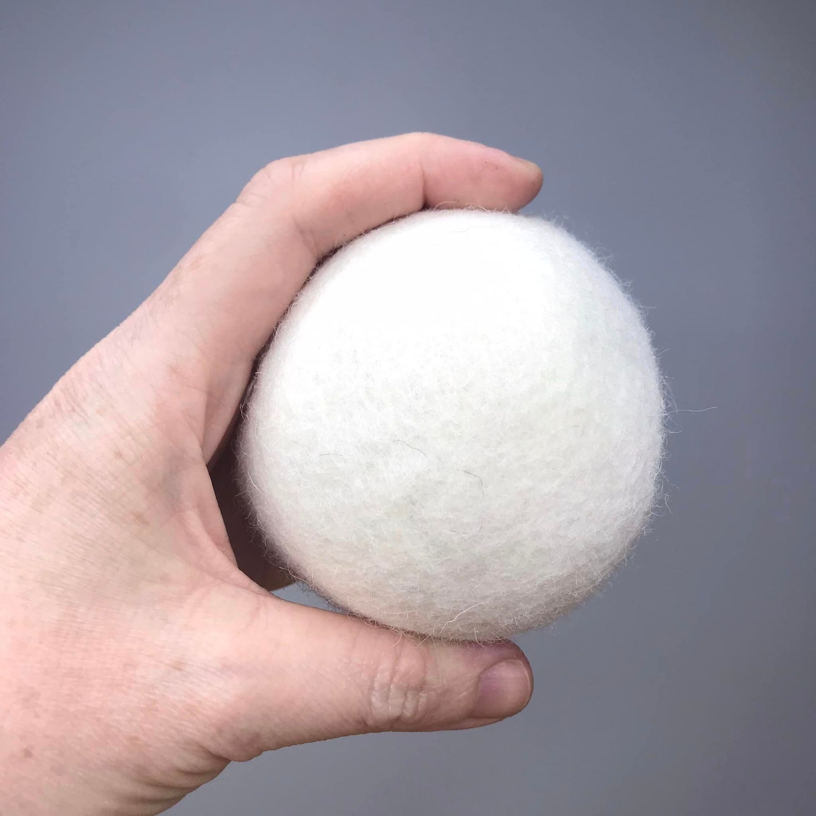 Organic Soap Nut Berry (1lb) & 6 Dryer Ball Combo Chemical Free Sustainable