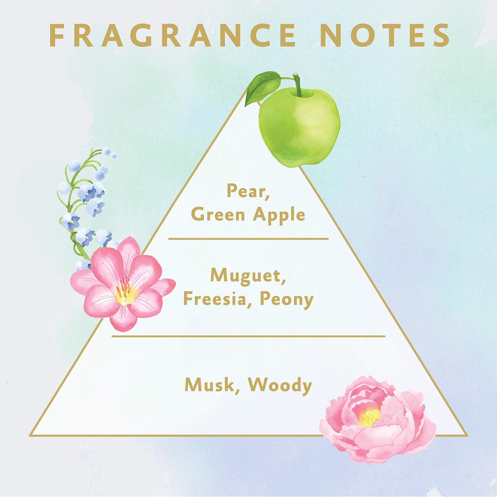 Flair Fragrance Fabric Softener, Flower & Harmony scent, 570ml (bottle)