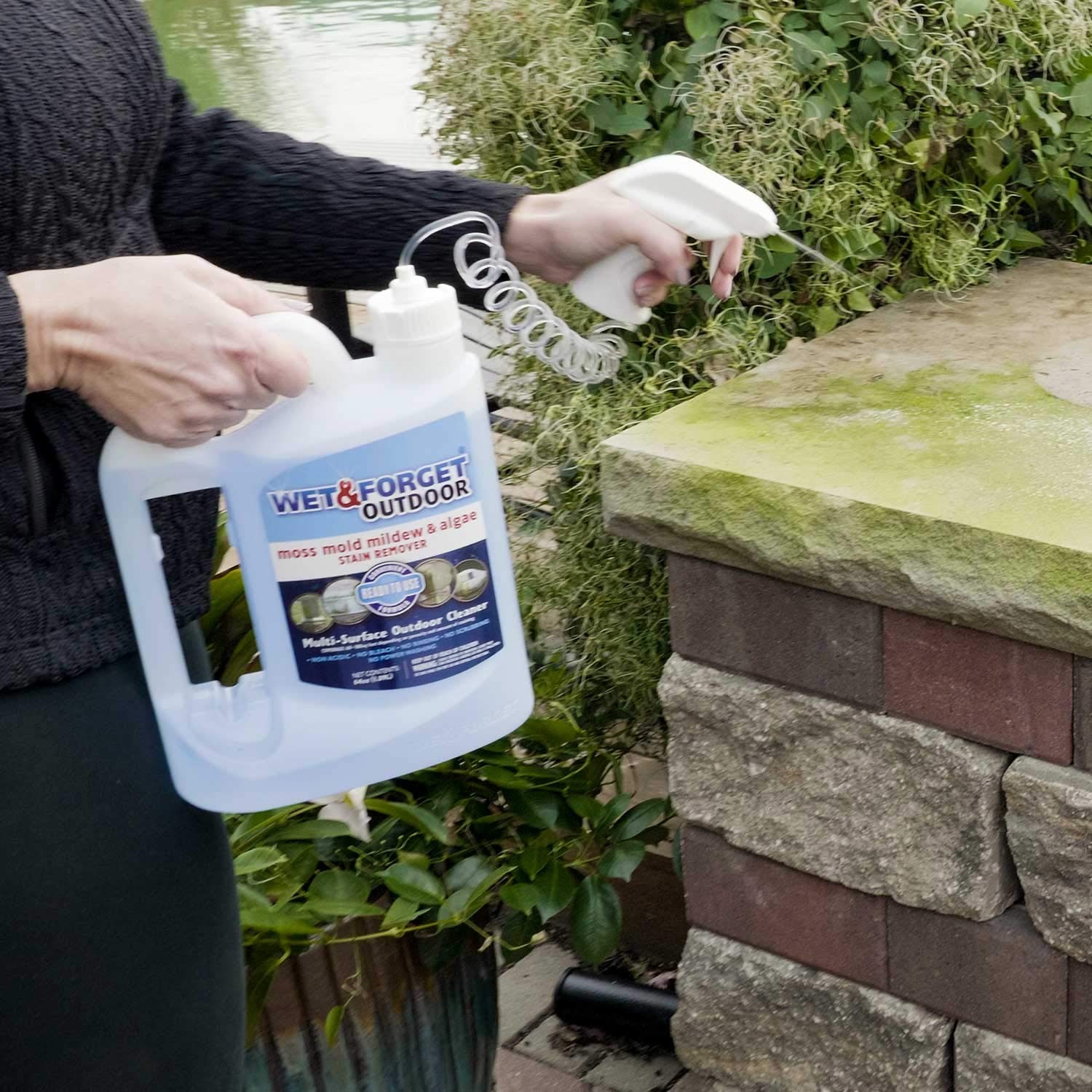 Wet & Forget Outdoor Moss, Mold, Mildew, & 64 Fluid Ounces, Ready to Use