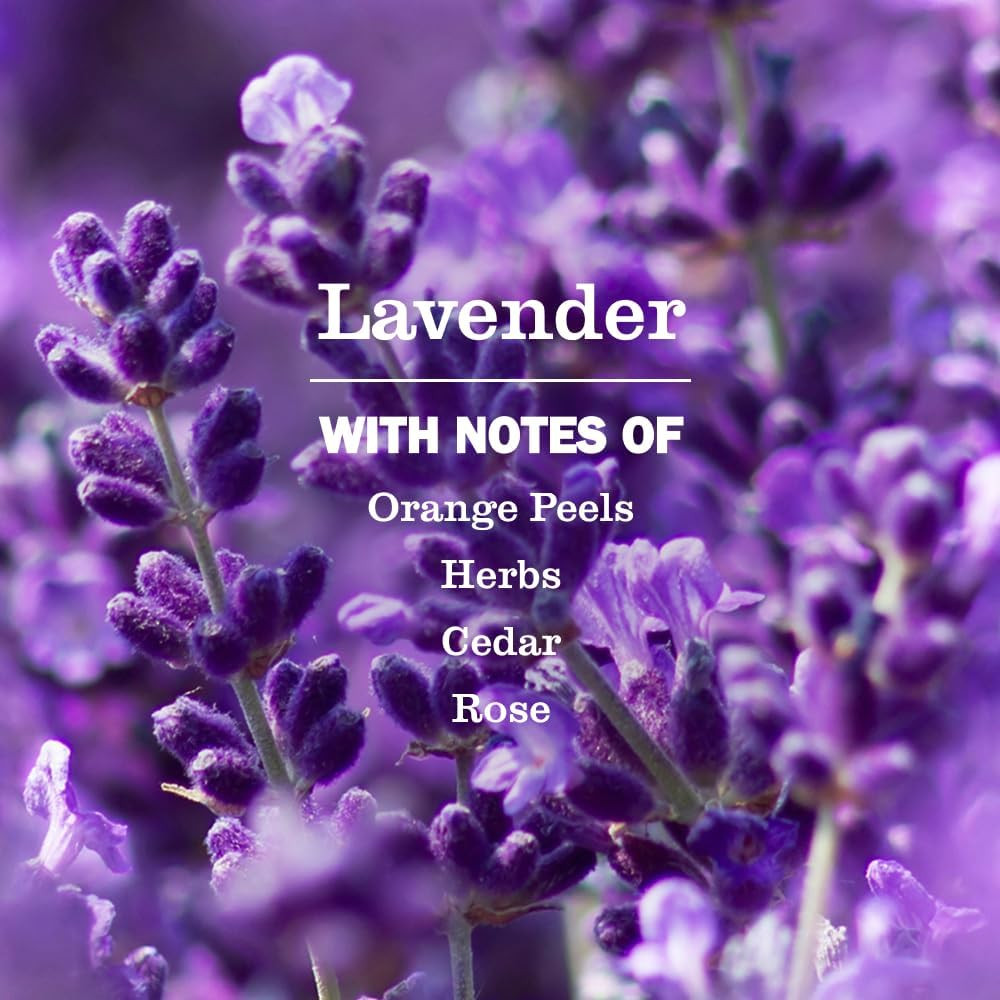 MRS. MEYER’S CLEAN DAY Dryer Sheets, Lavender, 80 Ct
