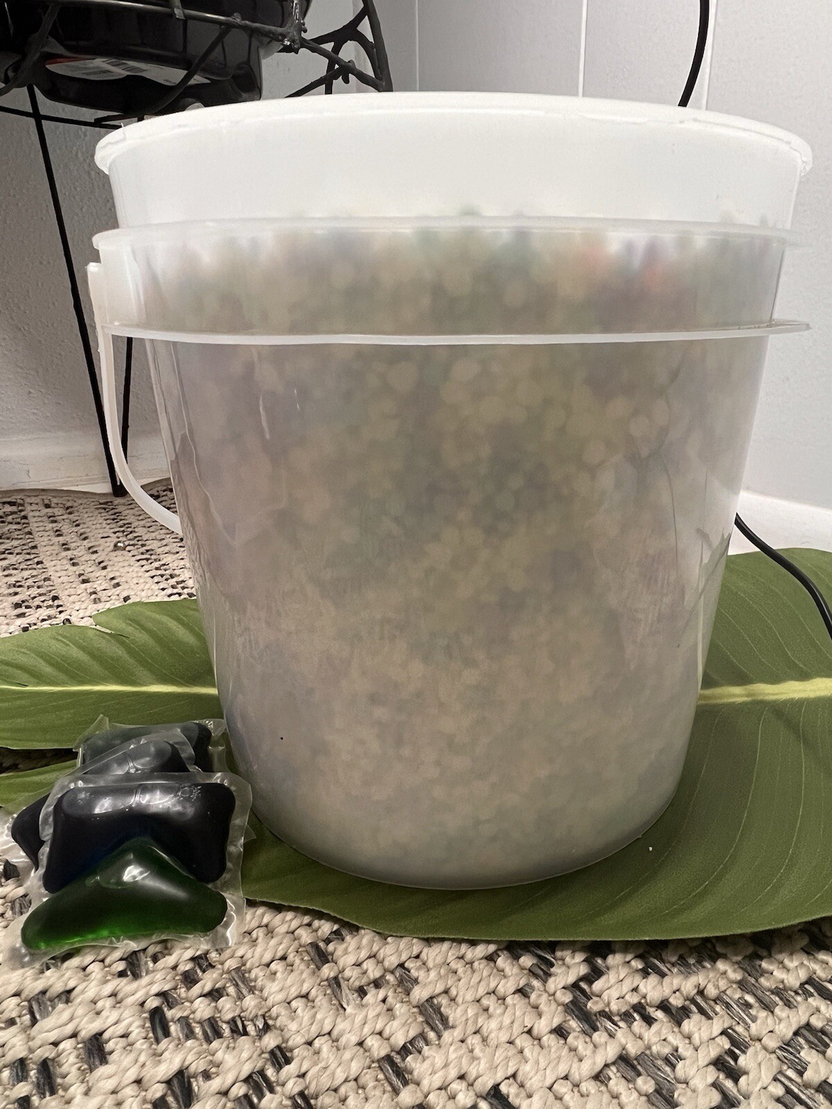 in was booster beadsLong-Lasting Scents / 1 gallon bucket contains 5lbs or 80oz