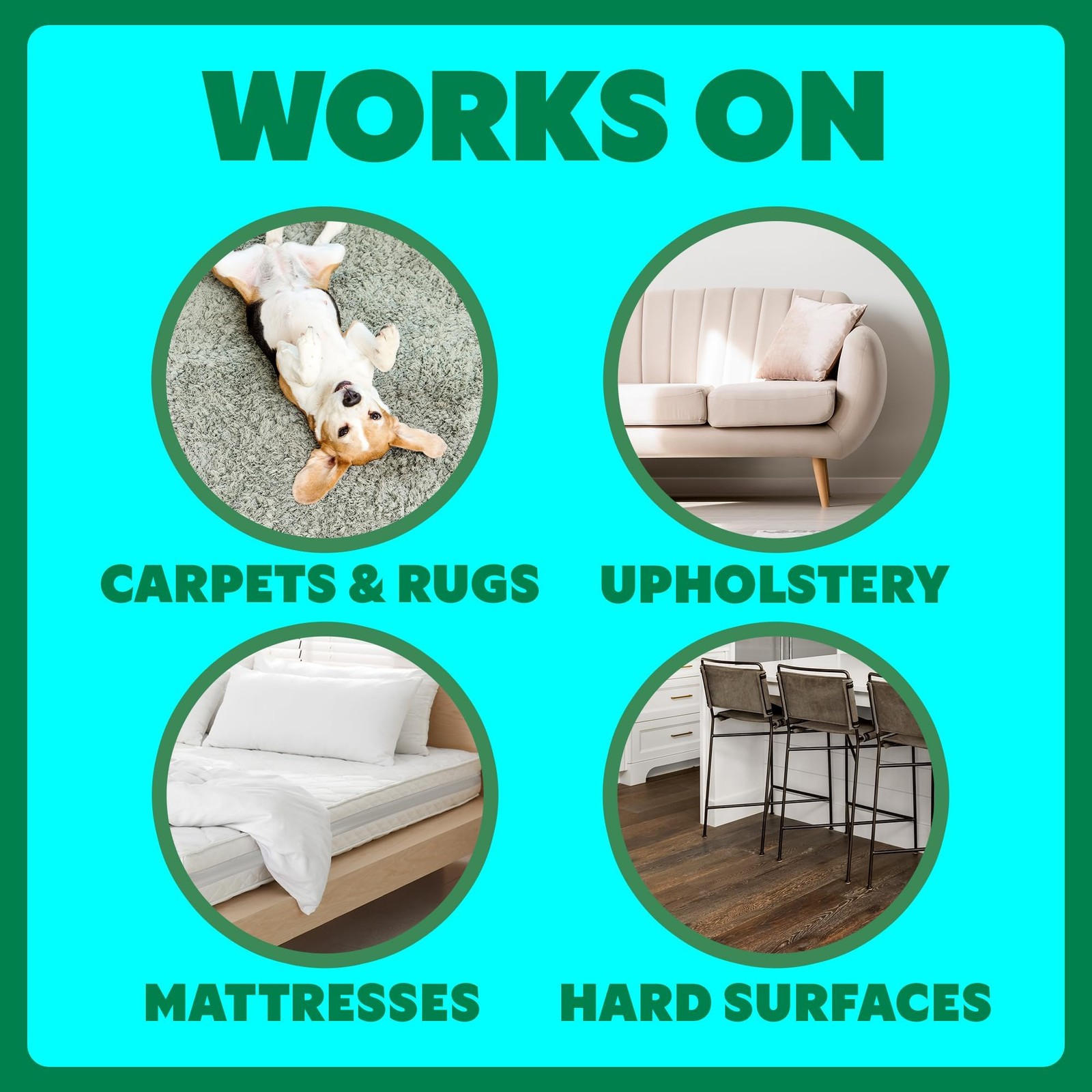 Shout Pet Stain Remover Spray, Color-Safe Multisurface & Carpet Cleaner Solut…