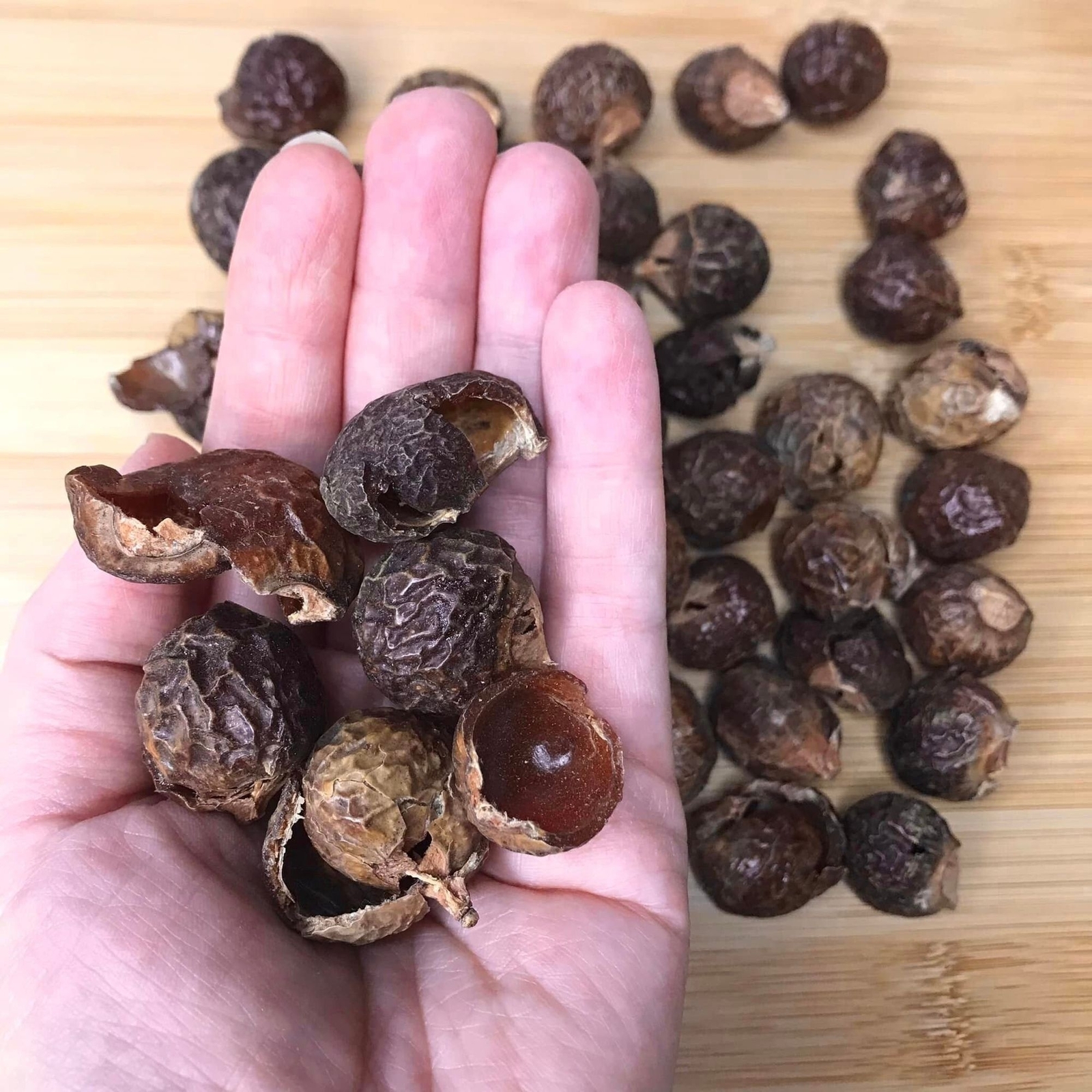 Organic Soap Nut Berry (1lb) & 6 Dryer Ball Combo Chemical Free Sustainable