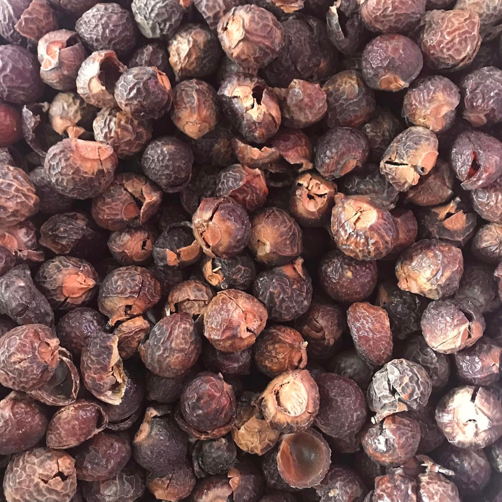 Organic Soap Nut Berry (1lb) & 6 Dryer Ball Combo Chemical Free Sustainable