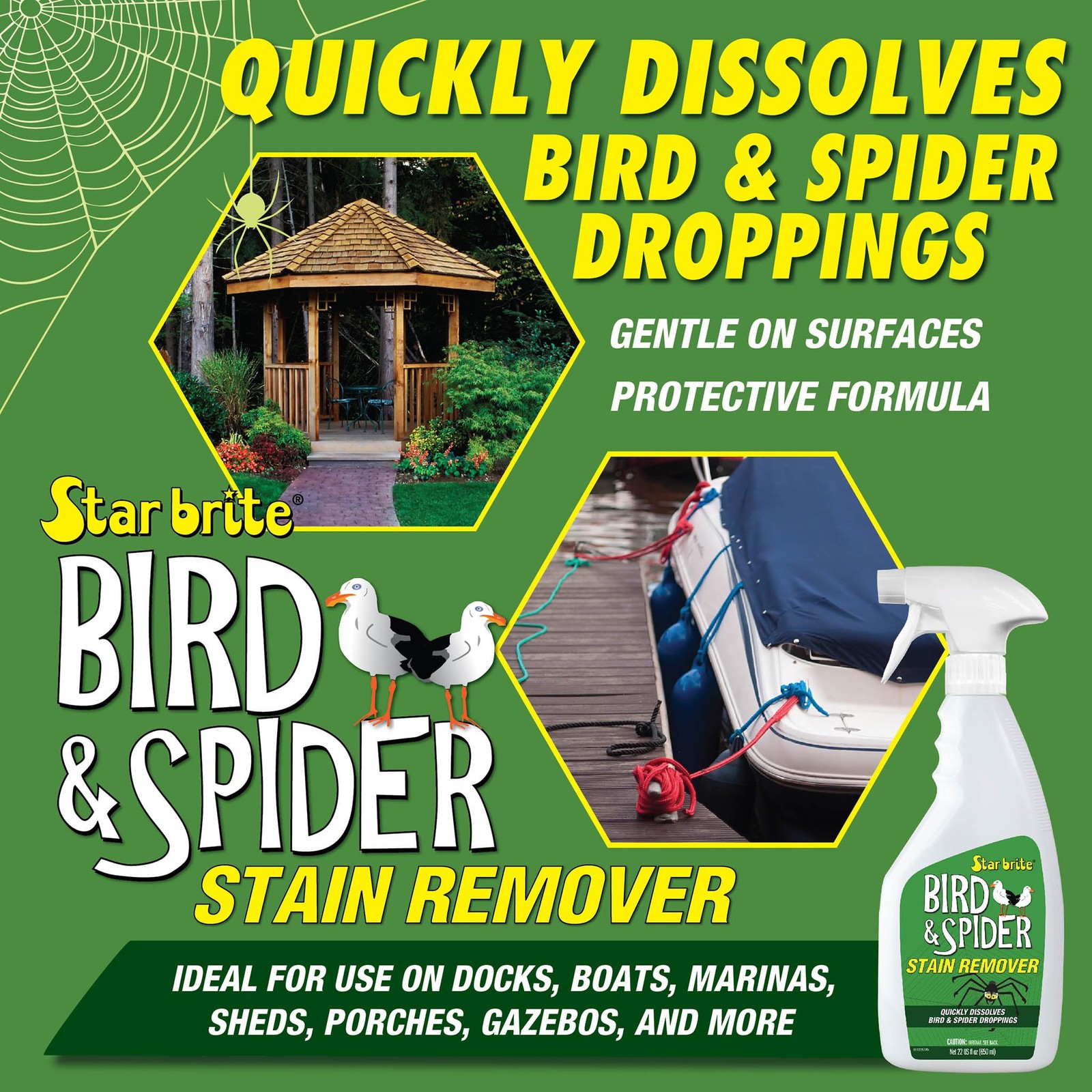 STAR BRITE Spider & Bird Stain Remover Spray – 22 Fl Oz (Pack of 1), Clear