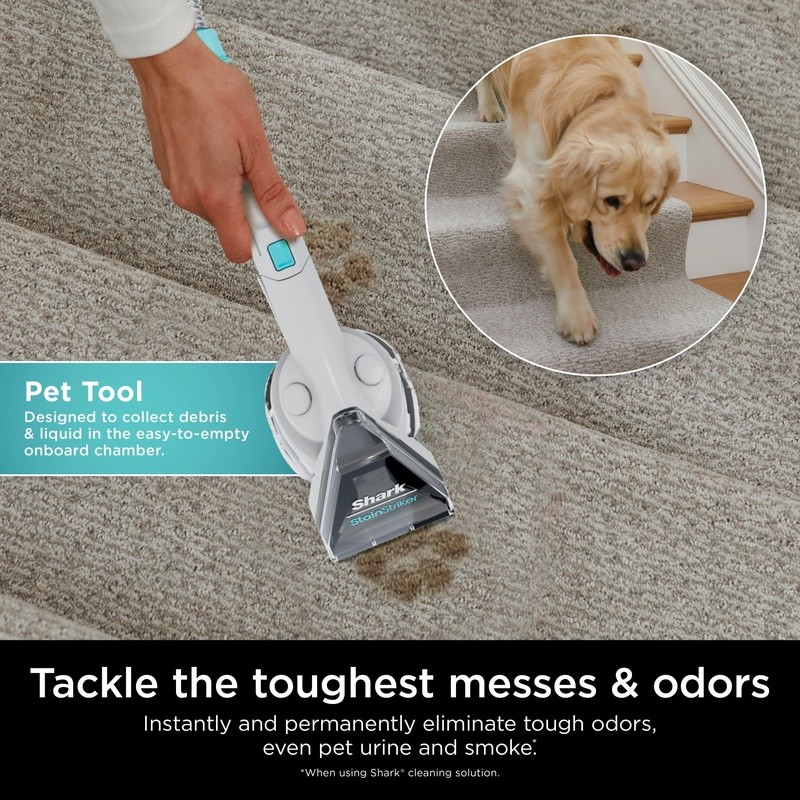 StainStriker Bundle OXY Multiplier Deep Clean Carpet Upholstery Stain Remover US
