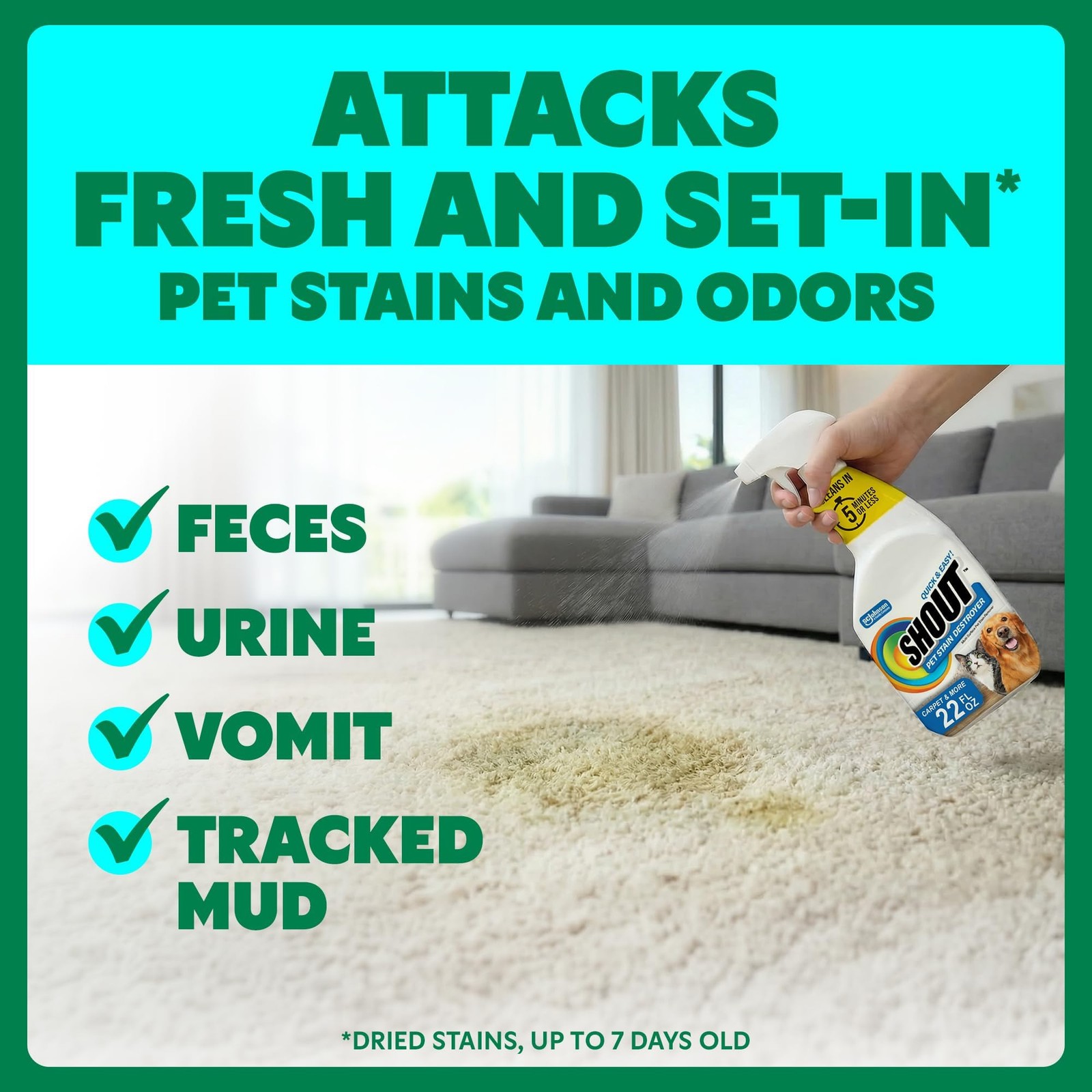 Shout Pet Stain Remover Spray, Color-Safe Multisurface & Carpet Cleaner Solut…