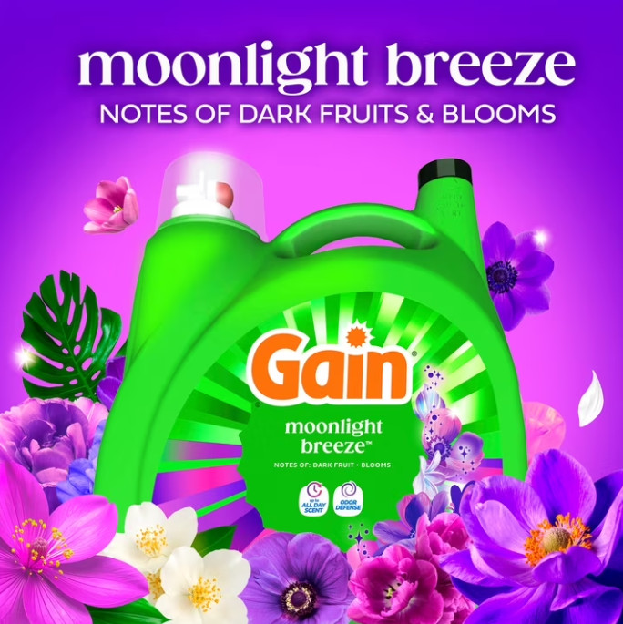(2pack) Gain HE Liquid Laundry Detergent Moonlight Breeze 132 fl oz 100 Loads