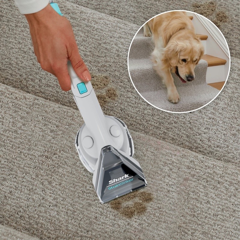 StainStriker Bundle OXY Multiplier Deep Clean Carpet Upholstery Stain Remover US