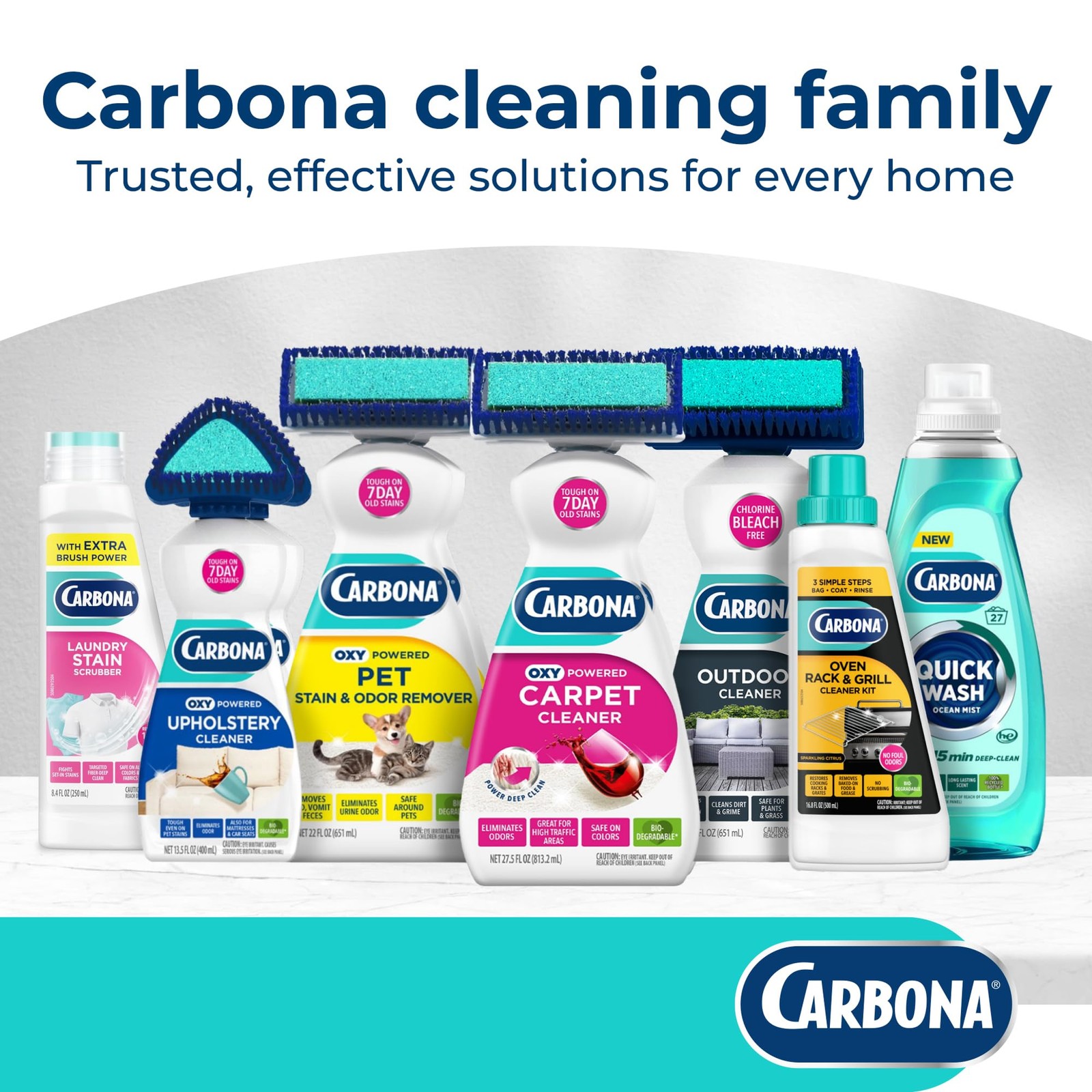 Carbona Laundry Stain Scrubber & Remover (8.4 Fl 8.4 Oz (Pack of 1), Gray