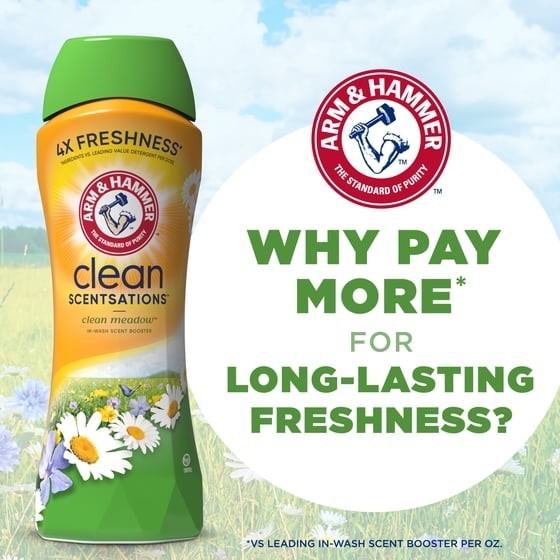 Arm & Hammer Clean Meadow Scent Booster 24 oz Pack of 2 Laundry Beads