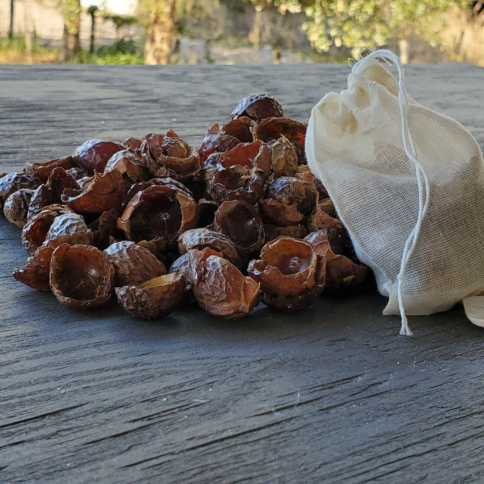 Organic Soap Nuts for Laundry Seedless Natural Washing Berries with Saponin
