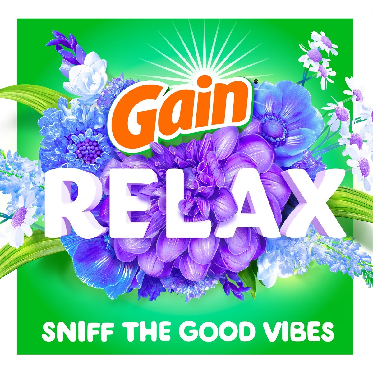 Gain Dewdrop Dream Beads Scent Boosters – 24.0oz: Odor Control, Bleach-Free
