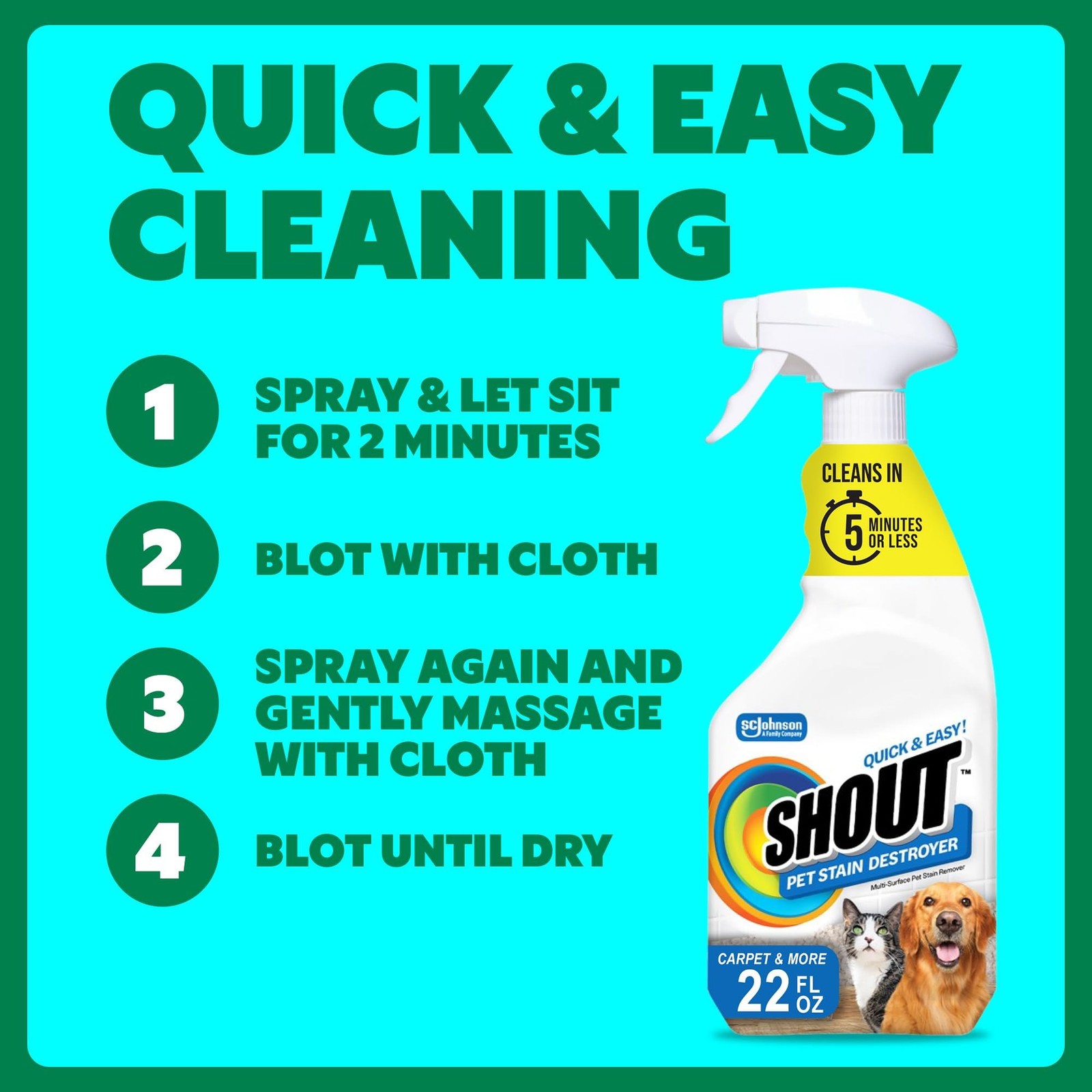 Shout Pet Stain Remover Spray, Color-Safe Multisurface & Carpet Cleaner Solut…
