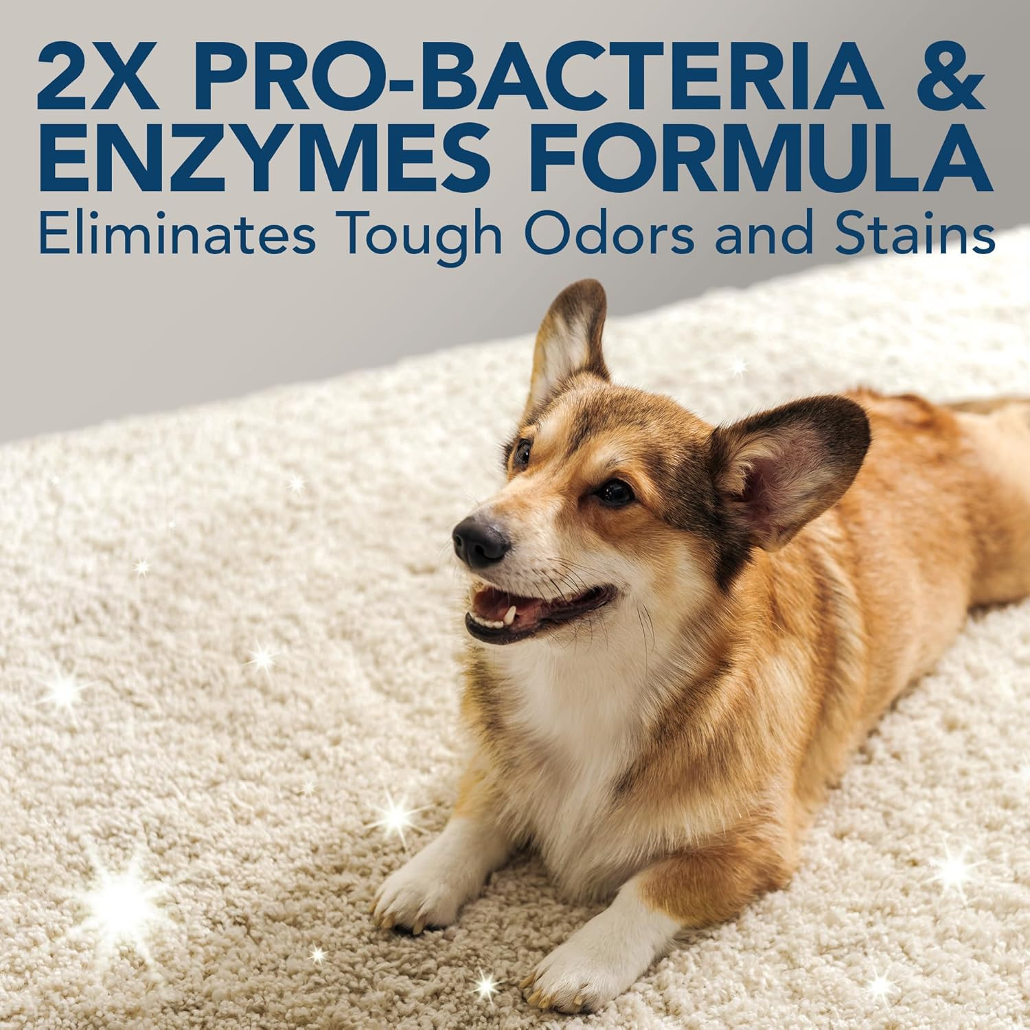 Stain & Odor Eliminator for Pets, Carpet Deodorizer, Enzyme Pet Odor Eliminator