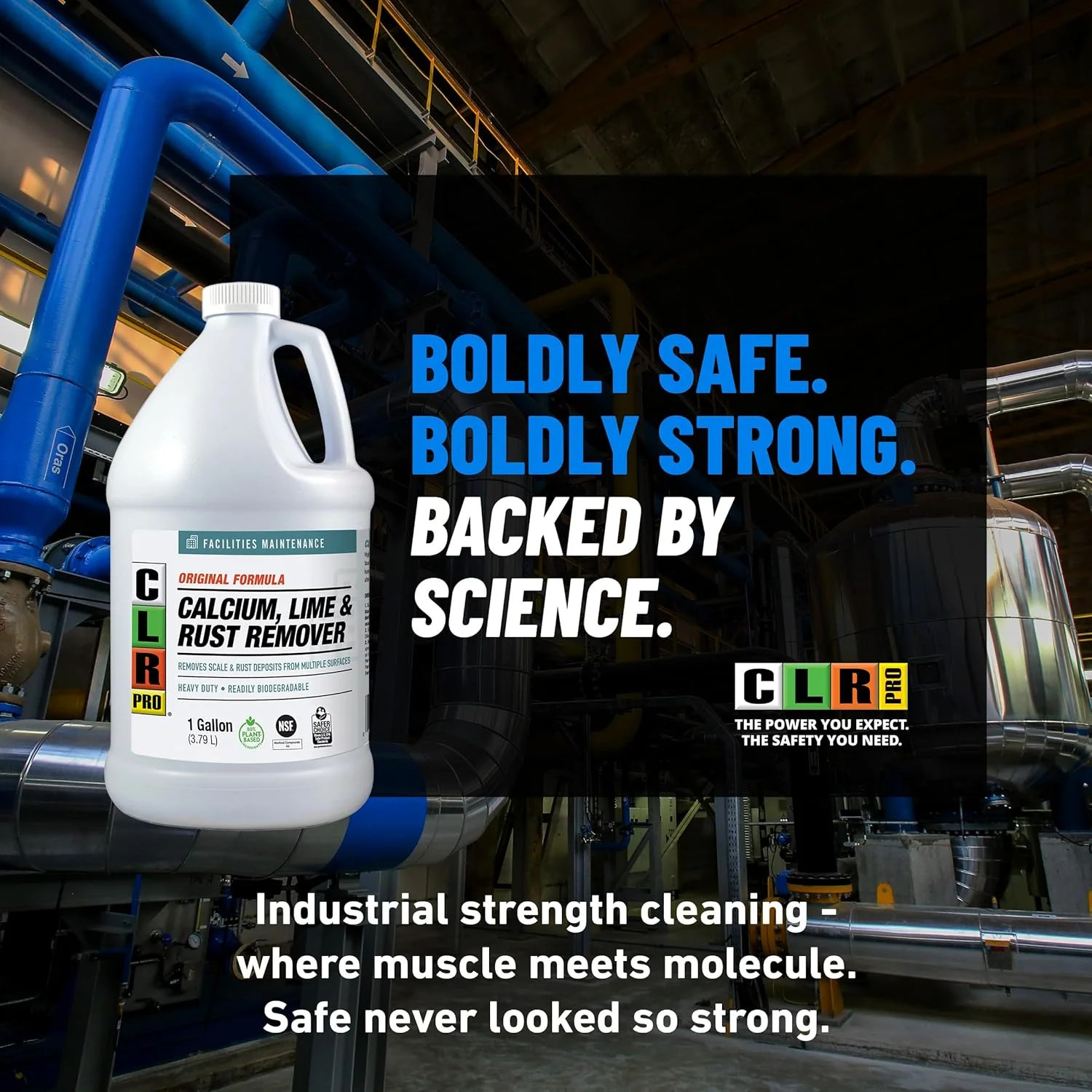 Pro Calcium, Lime & Rust Remove – 1 Gallon