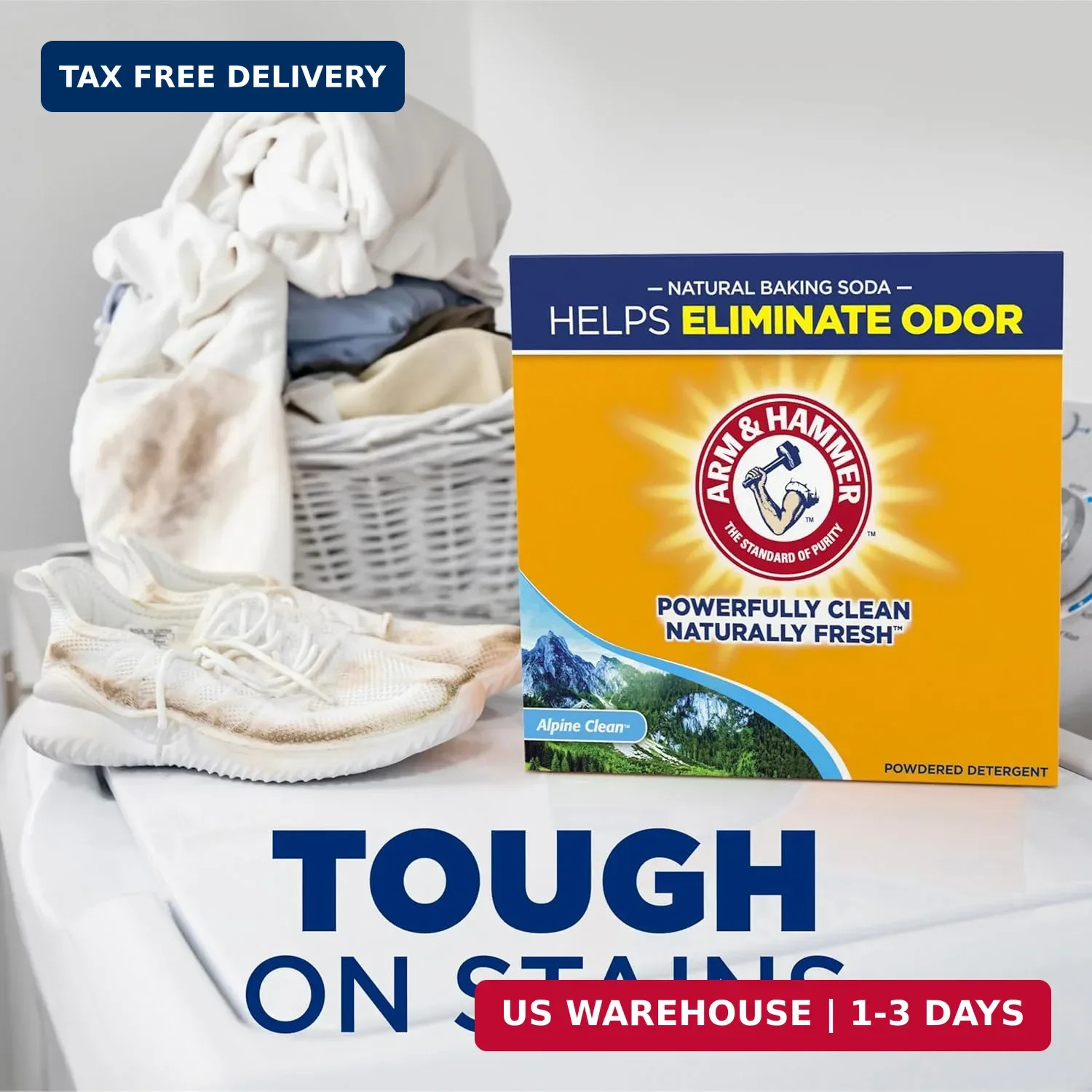 Powder Laundry Detergent, Alpine Clean, 9.56 lb, 155 Loads | Odor E