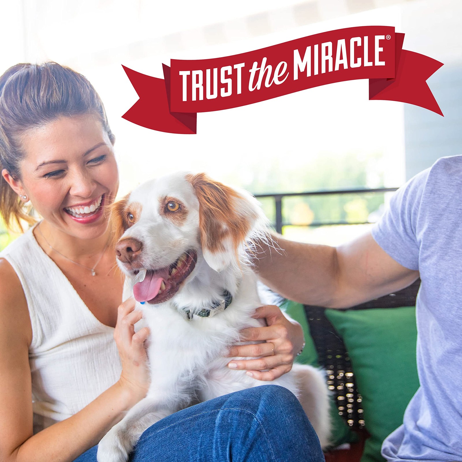 Nature’S Miracle Natures Miracle Remover Tough On Dog Urine Feces Vomit Drool