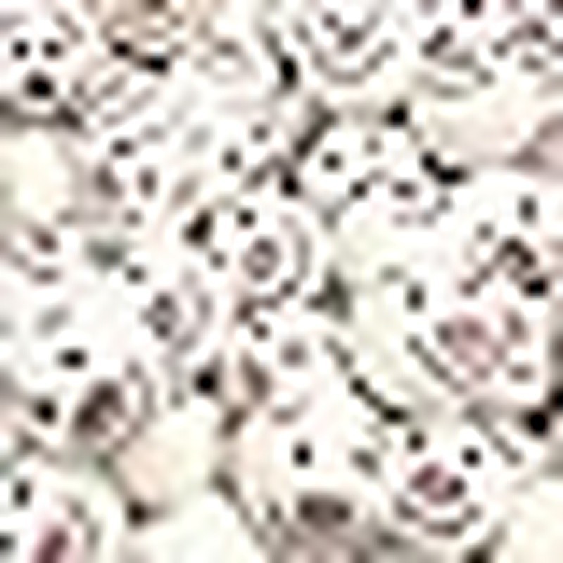 Organic Wool Dryer Balls Hypoallergenic Chemical Free Eco-Friendly 6 Pack New