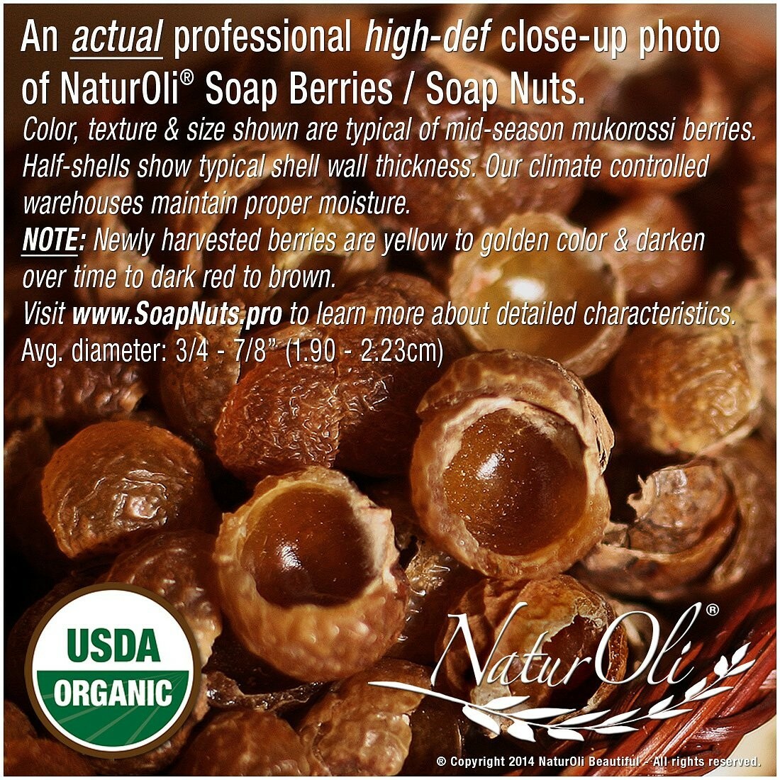 NaturOli Soap Nuts 1-Lb USDA Organic (240 Loads) + 18X Bonus! (12 loads)