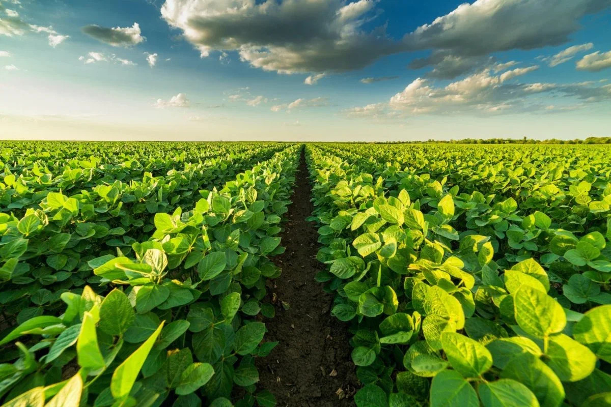 Fertipro, Horticulture, Botany, Agriculture, Organic Farming, Plant Physiology,