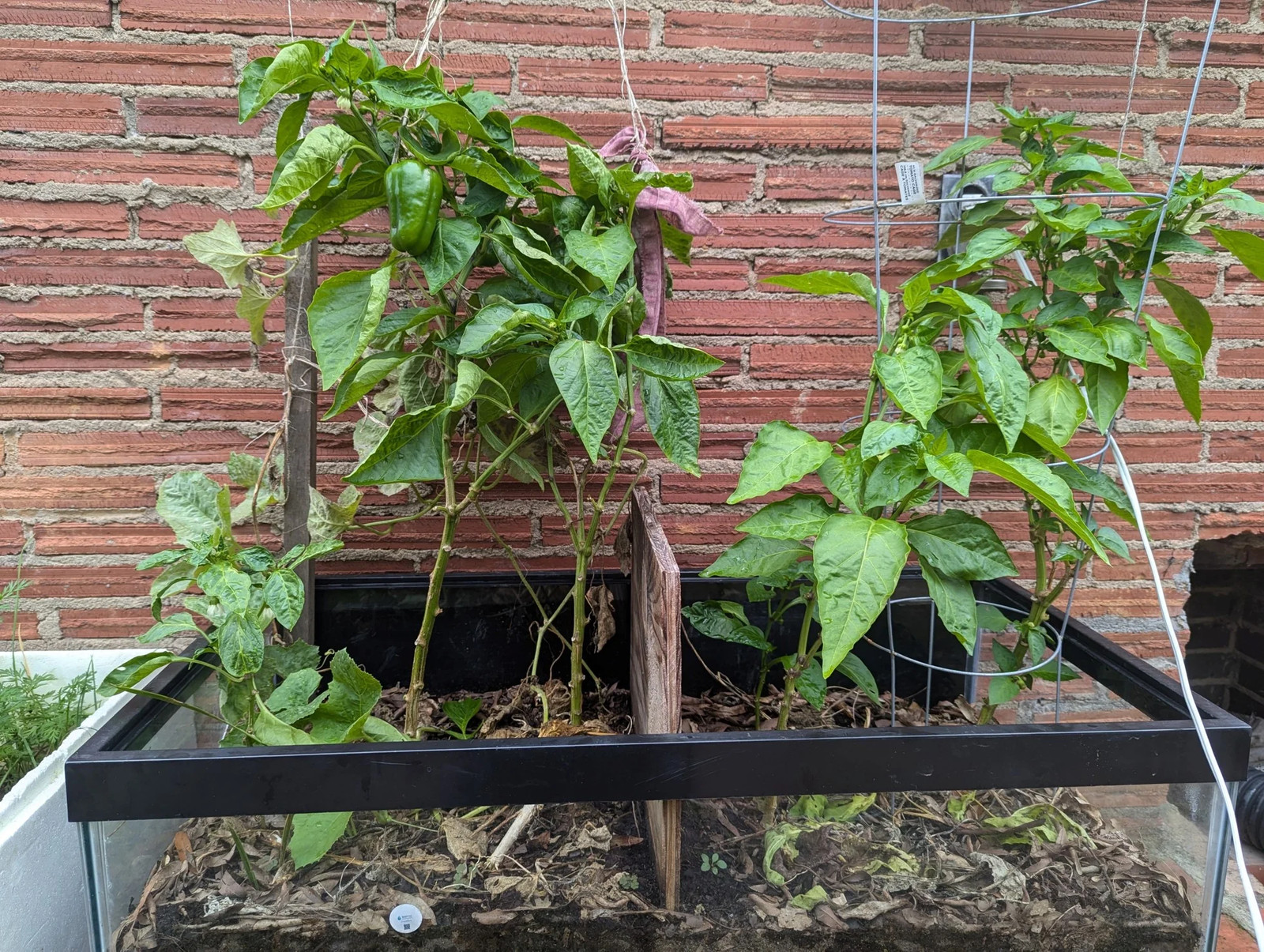 Fertipro, Horticulture, Botany, Agriculture, Organic Farming, Plant Physiology,