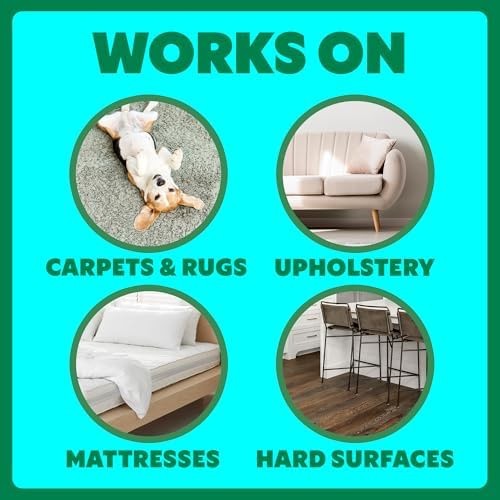 Shout Pet Stain Remover Spray, Color-Safe Multisurface & Carpet Cleaner Solut…