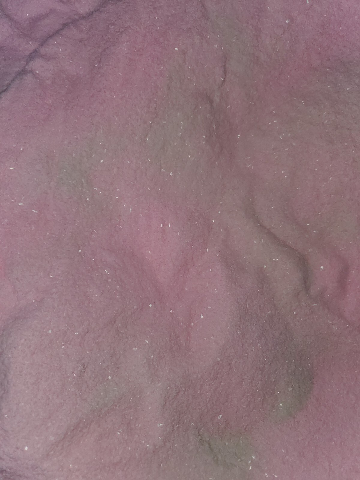 Laundry In-Wash Scent Booster Powder 1 gallon 5lbs. Mixed Scents Bulk