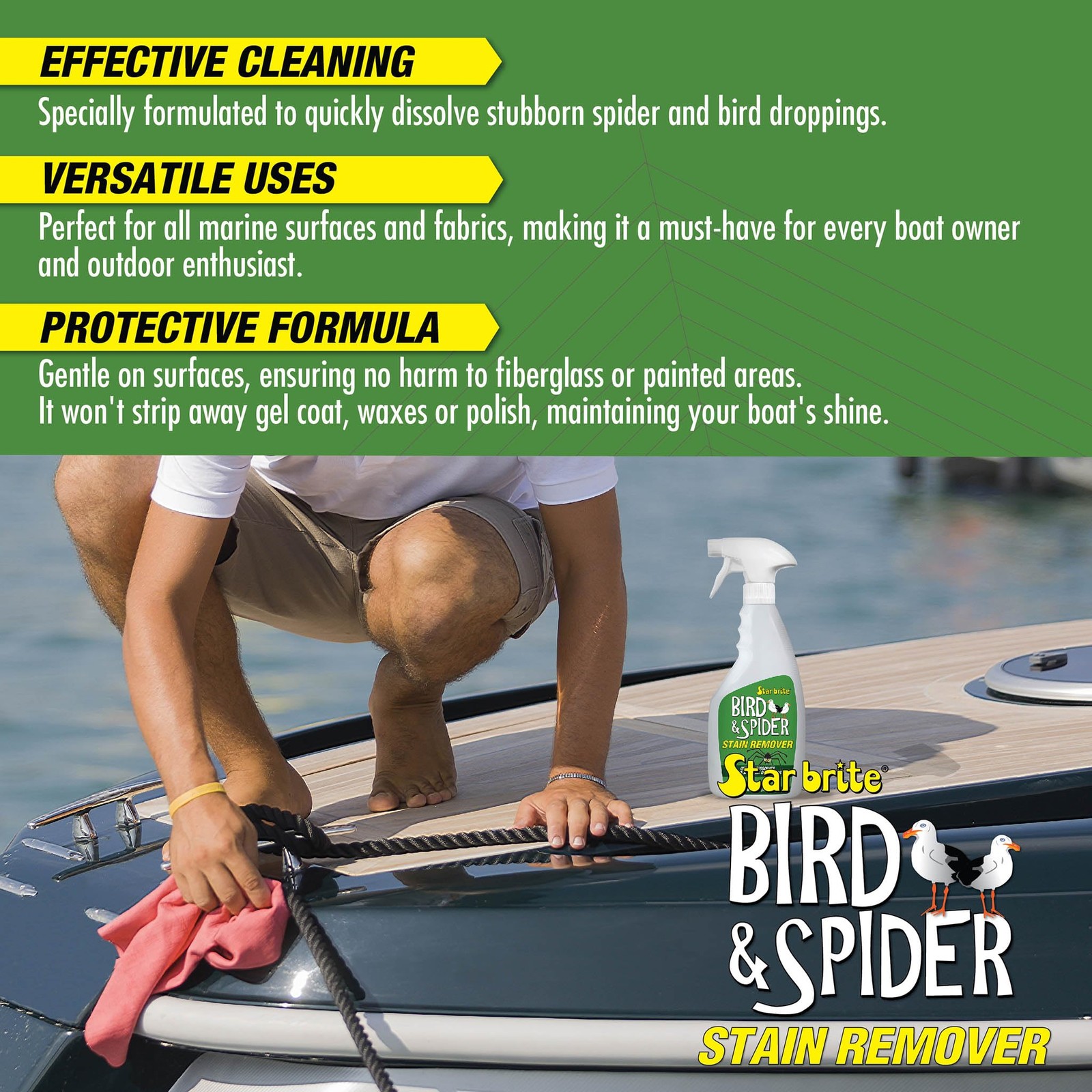 STAR BRITE Spider & Bird Stain Remover Spray – 22 Fl Oz (Pack of 1), Clear