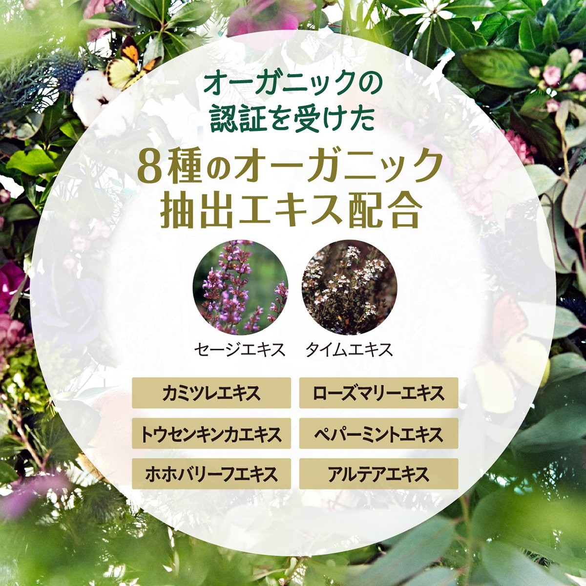 Laundryn Botanical Softener Large Capacity Relax Green Tea Refill 860ml