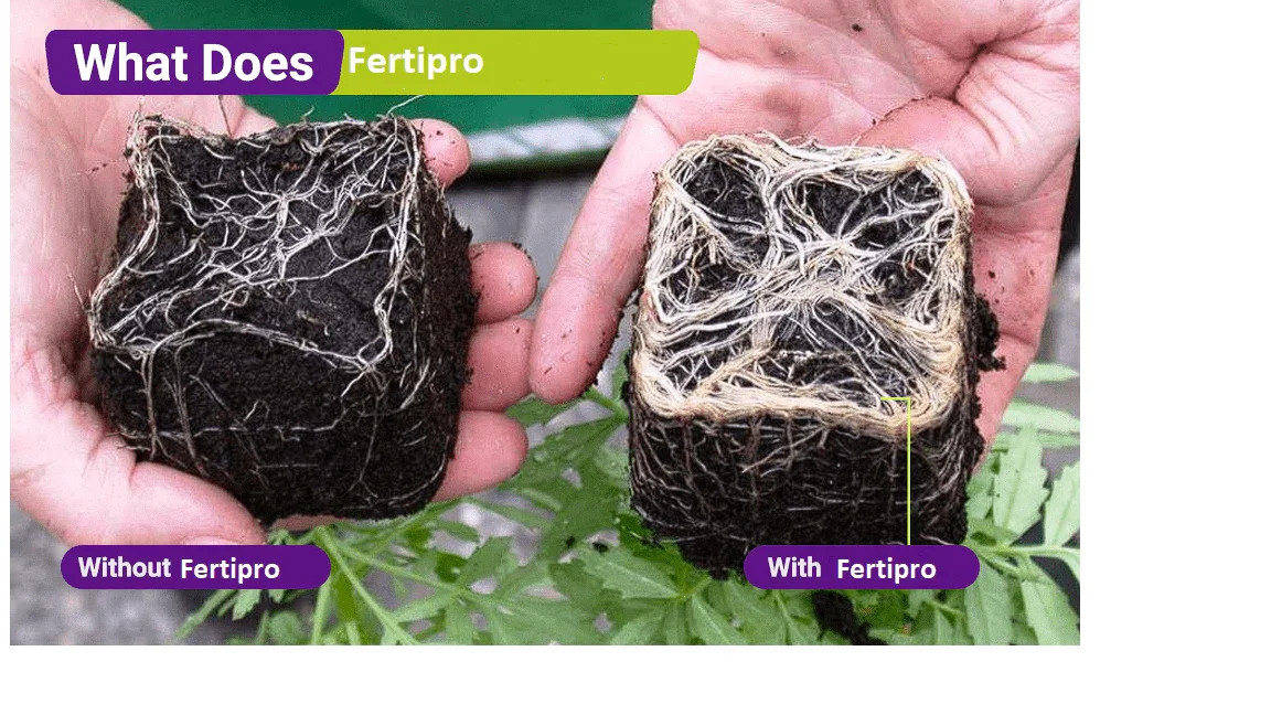 Fertipro, Horticulture, Botany, Agriculture, Organic Farming, Plant Physiology,