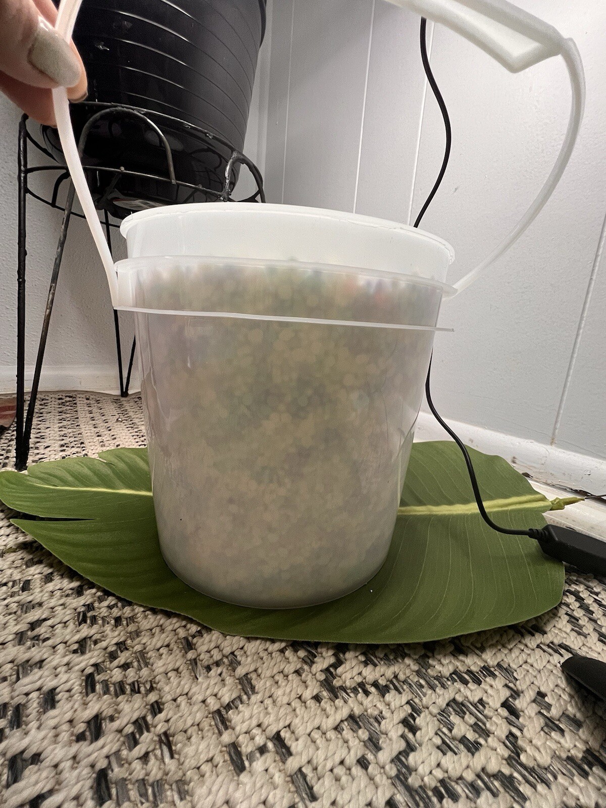 Experience the Magic of Scent Beads /1 gallon bucket 5lbs or 80oz