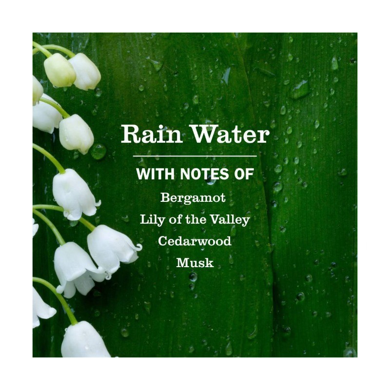 Liquid Laundry Detergent Rain Water 74 Loads 64oz: Dye-Free, Paraben-Free