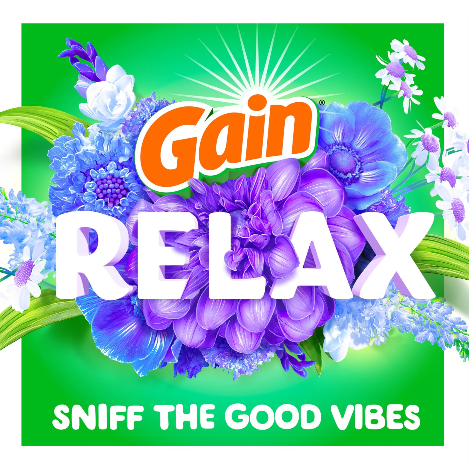 Gain In-Wash Laundry Scent Booster Beads, Relax, 24 oz 24 Ounce (Pack of 1)