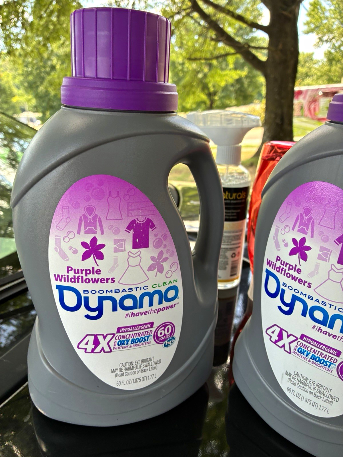 Dynamo 4X Concentrated Oxi Boost HE Hypoallergenic Purple Wildflowers 60 Loads