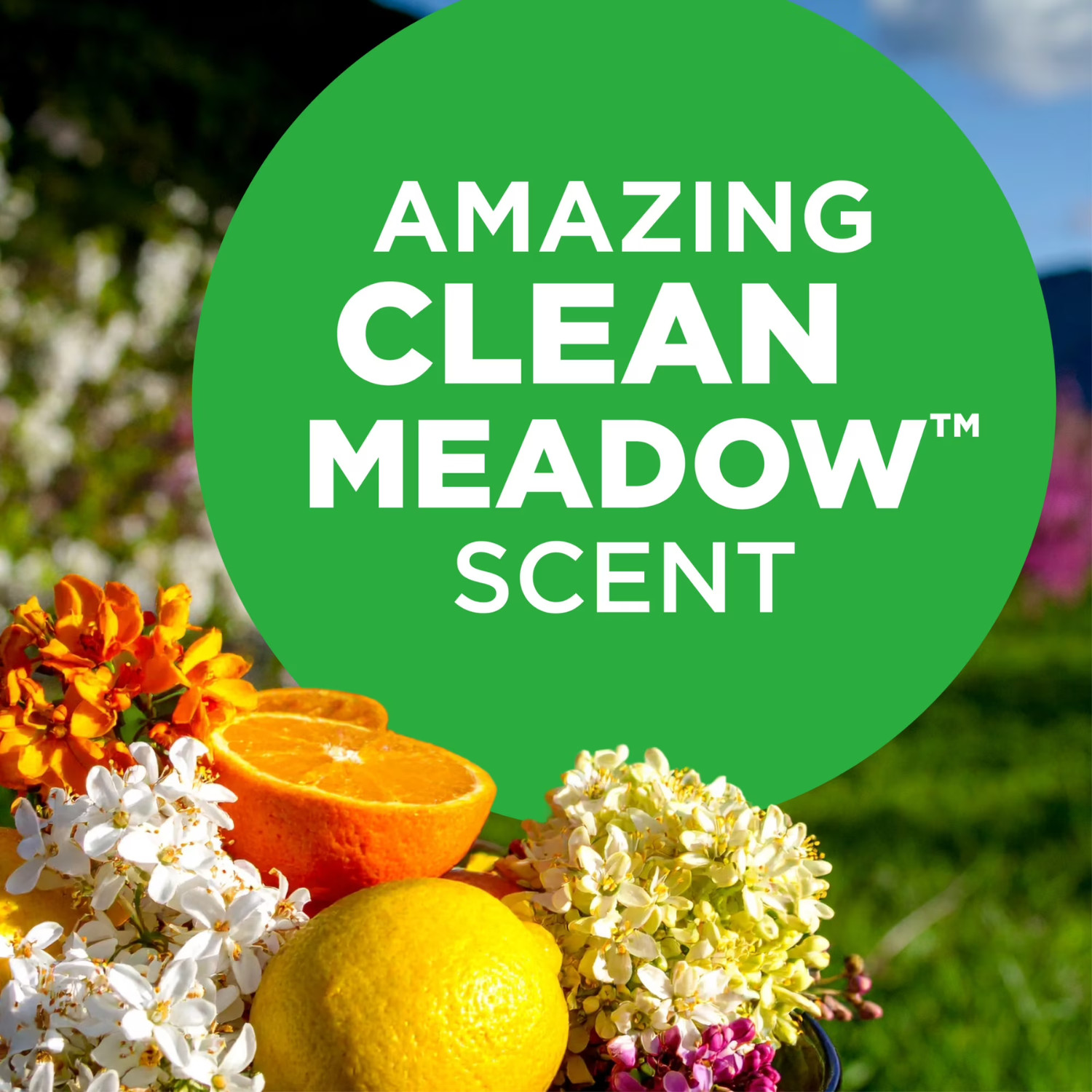 ARM & HAMMER OxiClean Laundry Detergent Clean Meadow 96.2oz 74 Loads, 3 Pack