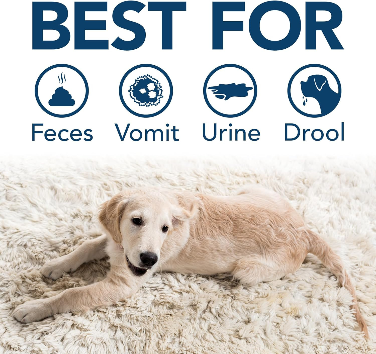 Stain & Odor Eliminator for Pets, Carpet Deodorizer, Enzyme Pet Odor Eliminator