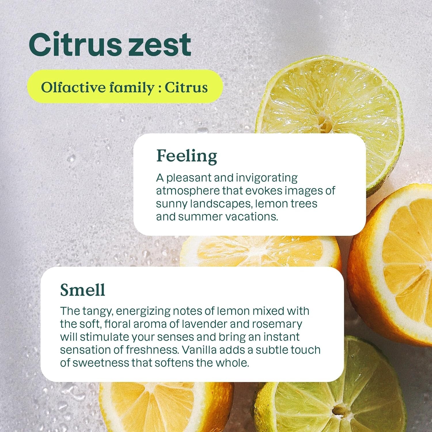 Concentrated Plant-Based Laundry Detergent, Citrus Zest, 160 Loads – Eco Refill