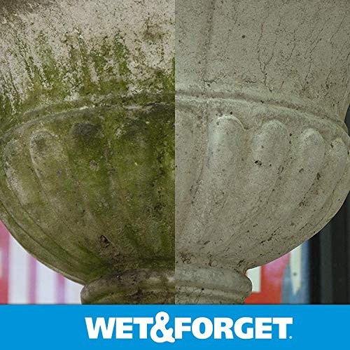 Wet & Forget Outdoor Moss, Mold, Mildew, & 64 Fluid Ounces, Ready to Use
