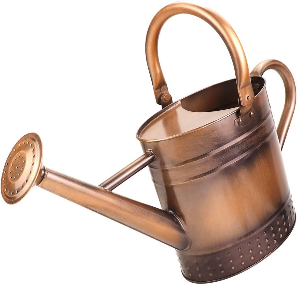 1 Gallon Metal Watering Can with Removable Spout, Nice Galvanized Steel Water