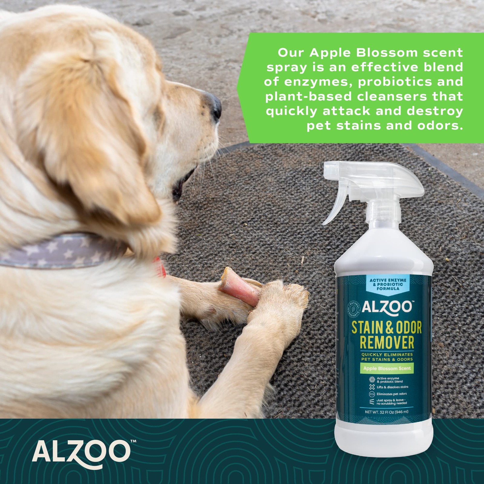 Pet Stain & Odor Spray for Dog & Cat Urine, Carpet, Furniture & Floors | Acti…